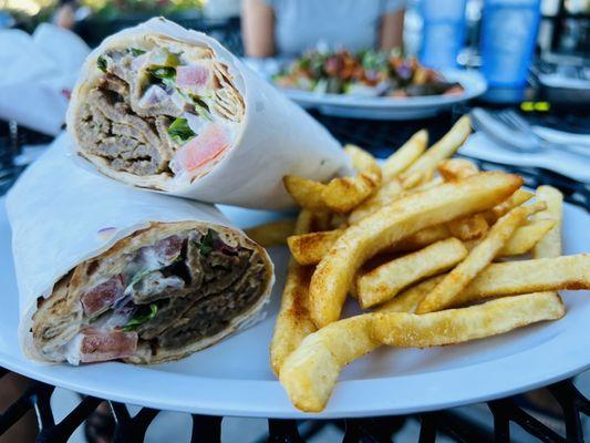 Gyro with fries