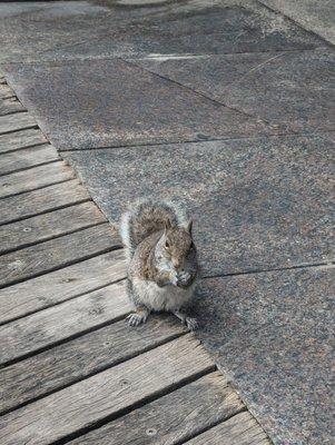 Boardwalk