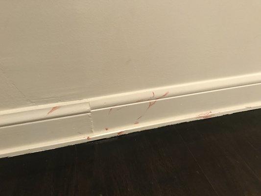 Baseboard covered in blood.