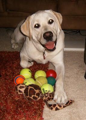 Mckinley loves his toys