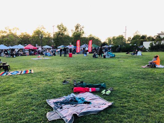 Picnic field