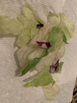 Don't buy the Good & Gather garden salad.  I found a dead fly inside.