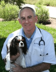 Dr. Frank Utchen  Feline Medical Center