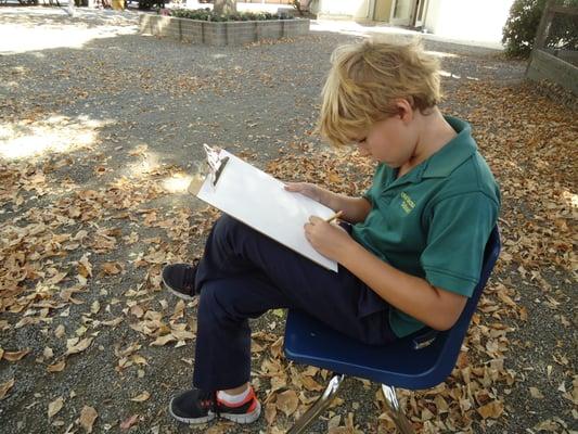 Lower School Science: Making Observations from Nature