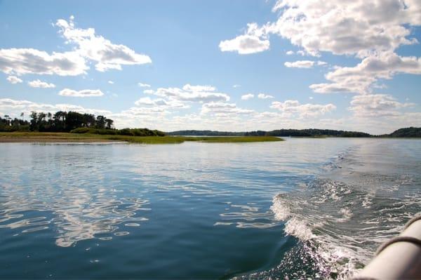 Essex River Cruise - Leaving a peaceful wake