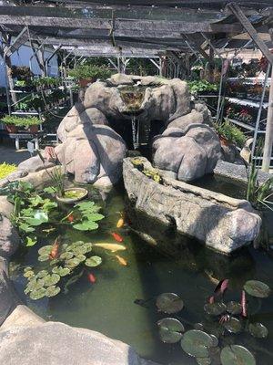 The Pond in the Garden Department 5.3.2020.