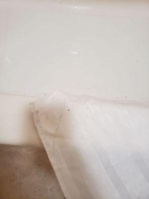 Mildew on shower curtain