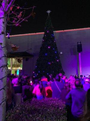 Christmas Tree Lighting