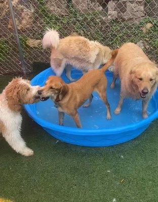 Pool party in daycare