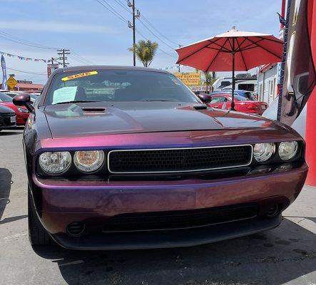 A 2012 Dodge Challenger, sunbathing under the beautiful San Diego sun.