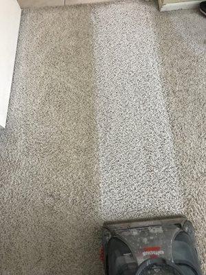 Carpet cleaning results