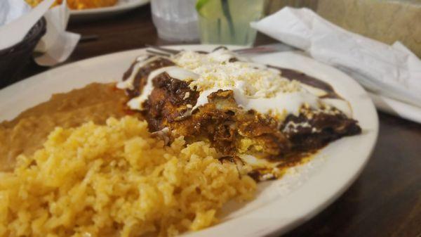 Chicken mole enchiladas