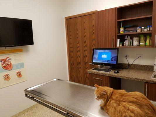 One of the new rooms on the 2016 hospital addition.