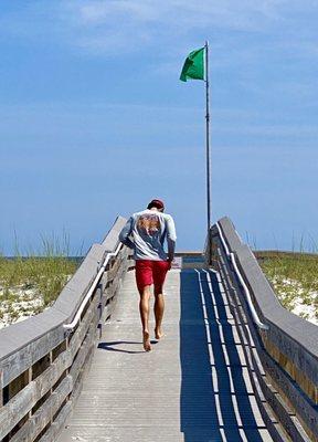 Go lifeguards.