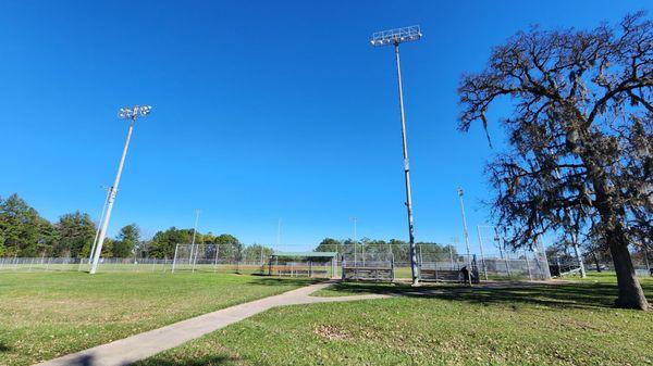 Baseball field