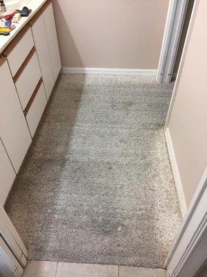 Bathroom carpet before it was cleaned.