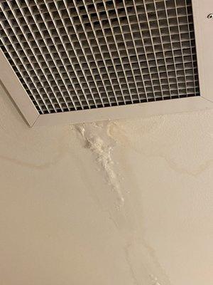 Ceiling in  bathroom had an active leak