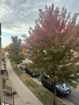 View from the balcony, front sidewalk