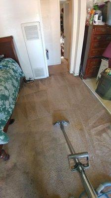 Carpet clean