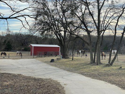 Turnout Pastures