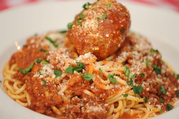 Spaghetti with Red Sauce and a Meatball