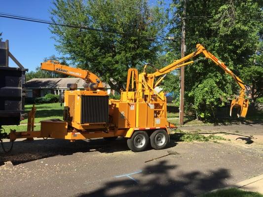 We have one of the largerst pull behind chippers in the industry.  This Bandit Chipper can take up to 22" diameter trees.