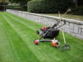 We offer several lawn care services. Let us take great care of your piece of earth with our professional services.