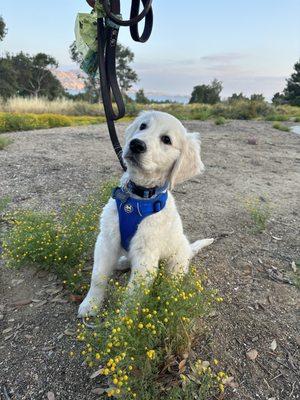 Lake Perris. Bradley's first trip to the lake.