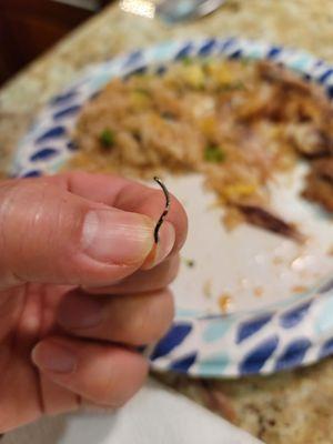 Metal wire found in Veggie Fried Rice