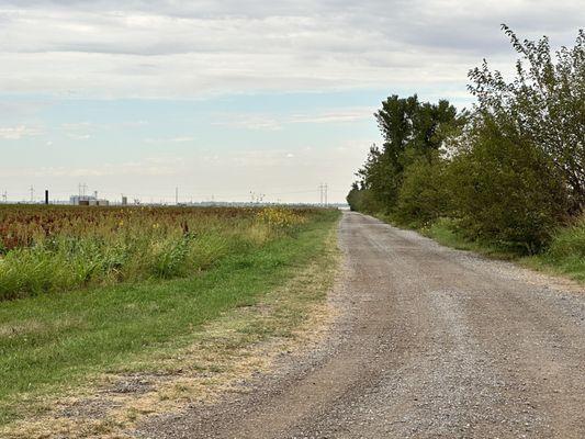 Picture from the end of the gravel road, lost a star because it isn't wide enough for two cars.