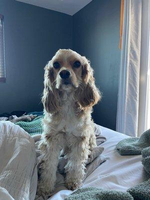 Doug before his groom! He was a mess.