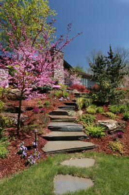 Spring flowering trees & fresh bark.