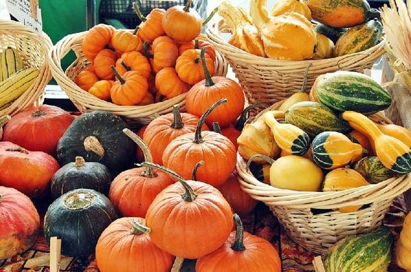 Fall at the Farmers Market