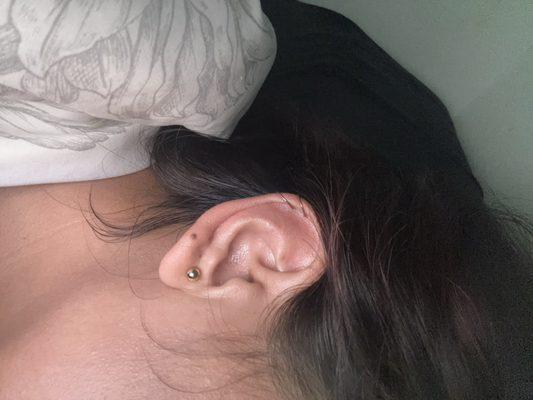 Double helix piercing after a month and a half.