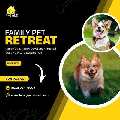 Happy Dog, Happy Days!  Your Trusted Doggy Daycare Destination! 
Pets Phone: (832) 764-0904
Visit Us:  https://familypetretreat.com/