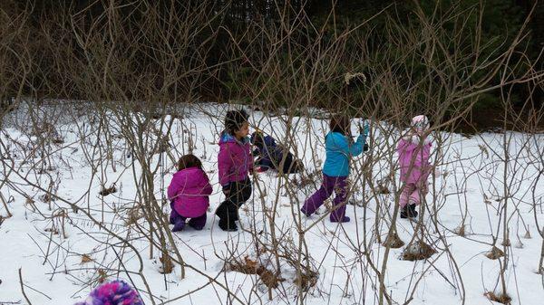 Safe woods exploration is such fun!