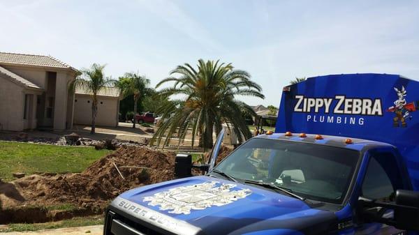 Zippy Zebra Plumbing