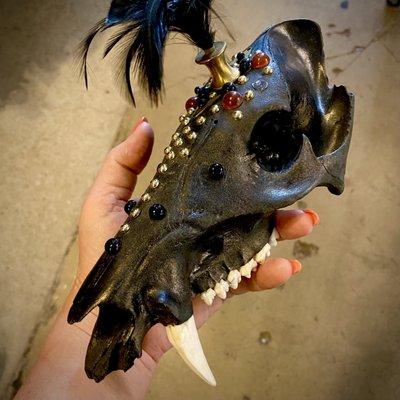 Festive Boar Skull at Dolly Python