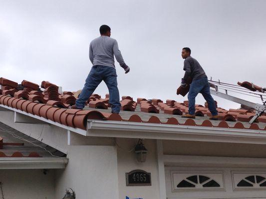 DENALI BUILDERS CA
 TILE ROOF PROJECT
 PALOS VERDES