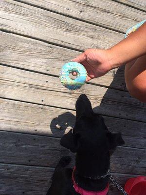 The cute donut treat!