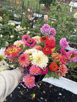 Woodland Park Greenhouse