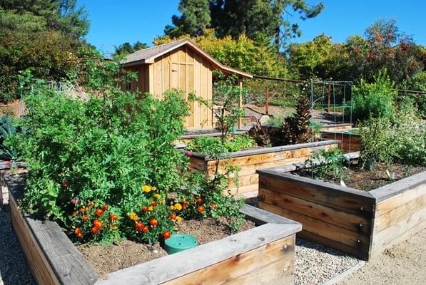 Back yard vegetable garden at a residential estate in Rancho Santa Fe