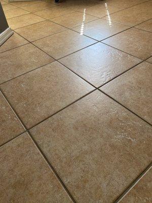 Cleaned Grout and Tile