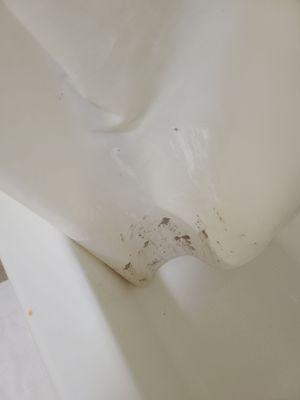 Mold on shower curtain