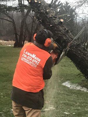 Tree Service in Chardon