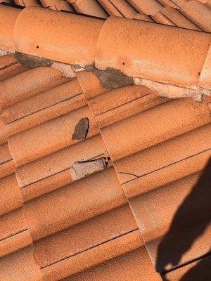 Broken roof tiles?