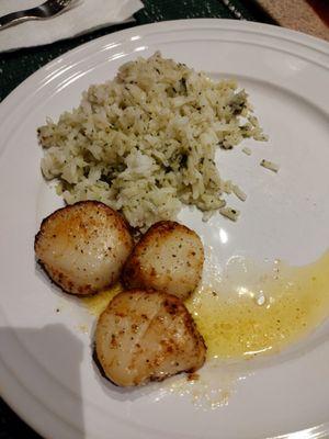 After yummies sea scallops