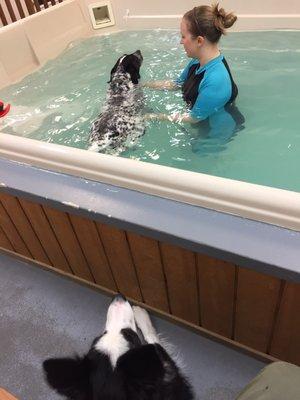 Courtney swimming with GG while Kuma looks on.