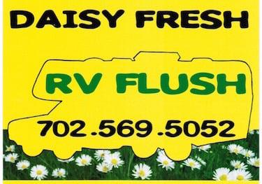 Daisy Fresh