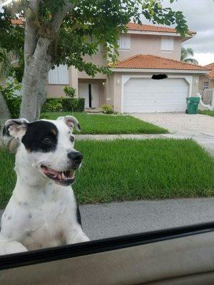 Buddy spotted outside Officer calls wife and myself, at the time in Pennsylvania. He secured our house till fam came.